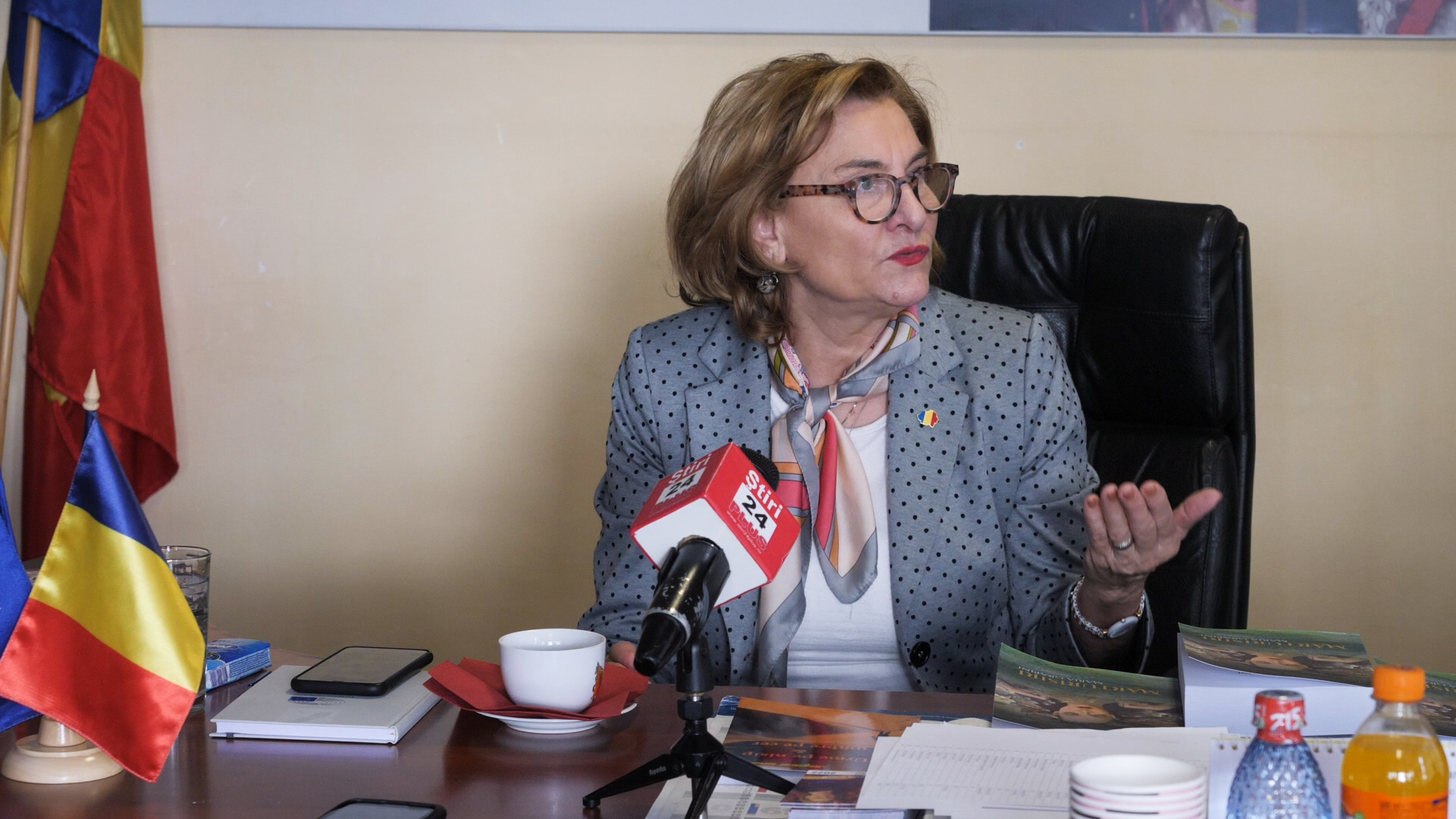[VIDEO] Conferință de presă a europarlamentarului umanist Maria Grapini la jumătate de mandat.
