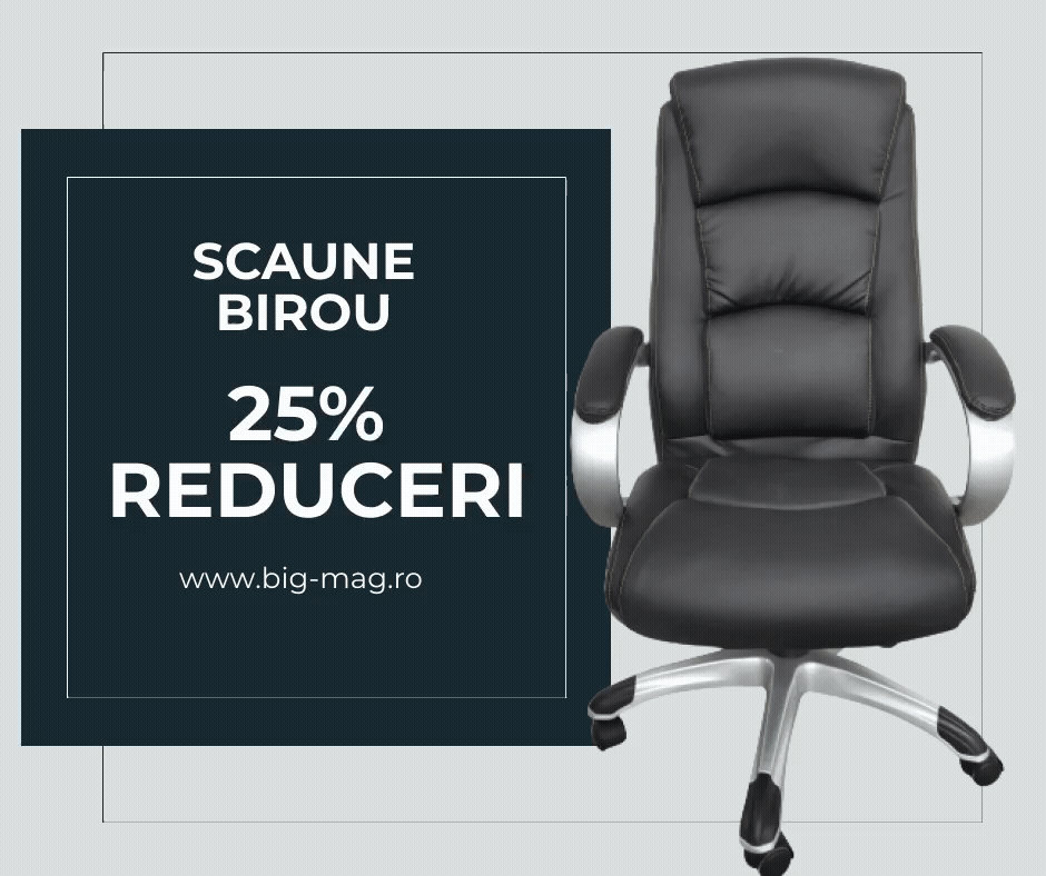 Macheta scaune birou Magazin Big Mag
